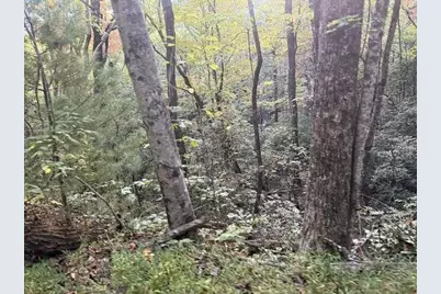 0 Wood Sorrel Lane, Clayton, GA 30525 - Photo 13