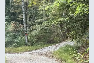 0 Wood Sorrel Lane, Clayton, GA 30525 - Photo 3