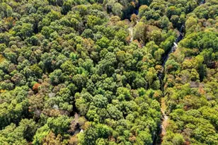 446 Riverwood Rd, Ellijay, GA 30536 - Photo 53