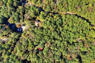 446 Riverwood Rd, Ellijay, GA 30536 - Photo 55