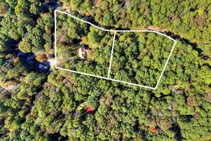 446 Riverwood Rd, Ellijay, GA 30536 - Photo 5