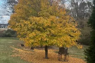 4067 Mason Creek Rd, Winston, GA 30187 - Photo 55