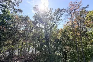 382 Arlington Ln, Commerce, GA 30529 - Photo 43