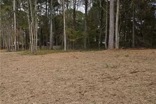 286 Meadows Dr, Bethlehem, GA 30620 - Photo 37