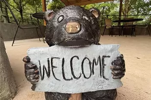 111 Maple Wood Ln, Cleveland, GA 30528 - Photo 21