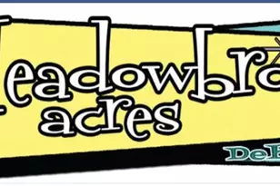 3193 Beech Dr, Decatur, GA 30032 - Photo 31