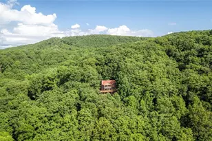 8 Mt Sequoyah Rd, Jasper, GA 30143 - Photo 69