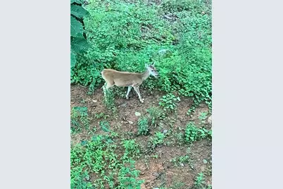 8 Mount Sequoyah Road, Jasper, GA 30143 - Photo 81