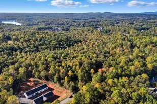 3 Henry Pirkle Dr, Dawsonville, GA 30534 - Photo 35