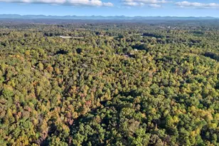 3 Henry Pirkle Dr, Dawsonville, GA 30534 - Photo 33