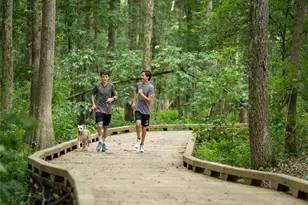 505 Juniper Ln, Fayetteville, GA 30214 - Photo 29