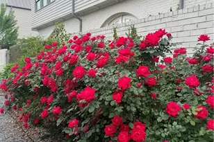 505 Juniper Ln, Fayetteville, GA 30214 - Photo 39