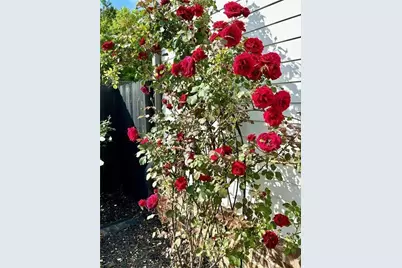 6405 Placid Way, Dawsonville, GA 30534 - Photo 67