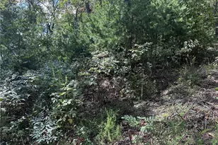 246 Andes Ridge, Jasper, GA 30536 - Photo 29