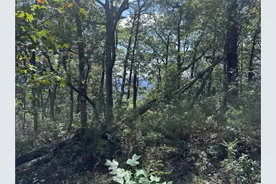 246 Andes Ridge, Jasper, GA 30536 - Photo 31