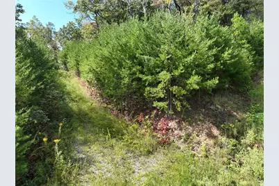 246 Andes Ridge, Jasper, GA 30536 - Photo 23