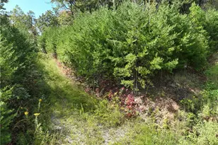 246 Andes Ridge, Jasper, GA 30536 - Photo 23