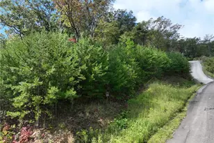 246 Andes Ridge, Jasper, GA 30536 - Photo 17