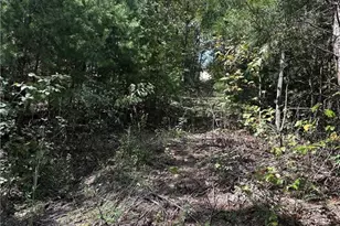 246 Andes Ridge, Jasper, GA 30536 - Photo 27