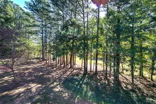 135 Greatwood Dr, White, GA 30184 - Photo 45