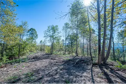 3879 Hwy 140 NE, Rydal, GA 30171 - Photo 5