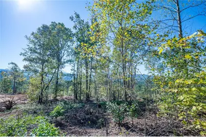 3879 Hwy 140 NE, Rydal, GA 30171 - Photo 7