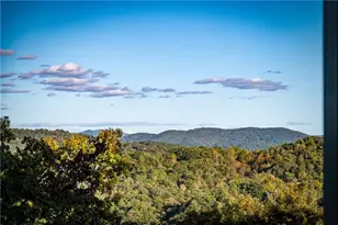 321 Skylight Dr, Blue Ridge, GA 30513 - Photo 73