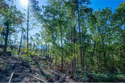 3875 Hwy 140 NE, Rydal, GA 30171 - Photo 9