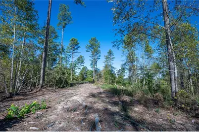 3871 Hwy 140 NE, Rydal, GA 30171 - Photo 11