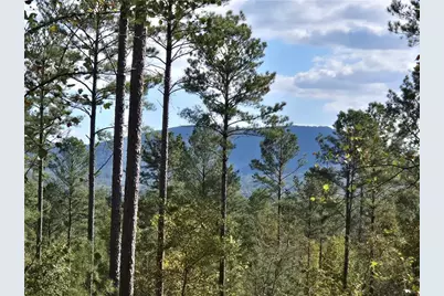 3871 Hwy 140 NE, Rydal, GA 30171 - Photo 1