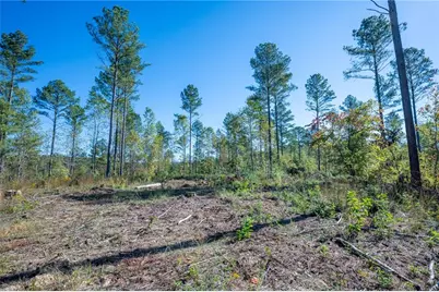 3871 Hwy 140 NE, Rydal, GA 30171 - Photo 7