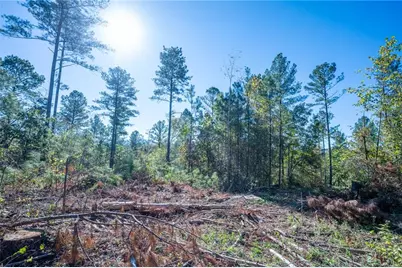 3867 Hwy 140 NE, Rydal, GA 30171 - Photo 7