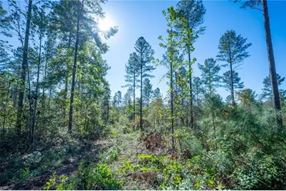 3867 Hwy 140 NE, Rydal, GA 30171 - Photo 11