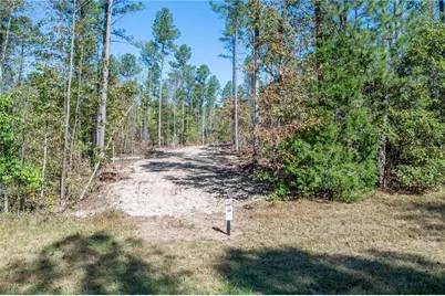 3867 Hwy 140 NE, Rydal, GA 30171 - Photo 3