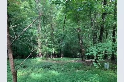 8036 Blackgum Drive, Jasper, GA 30143 - Photo 5