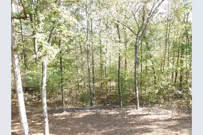 2614 Carolina Court, Bethlehem, GA 30620 - Photo 39