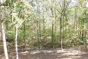 2614 Carolina Ct, Bethlehem, GA 30620 - Photo 39