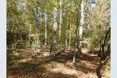 2614 Carolina Court, Bethlehem, GA 30620 - Photo 37