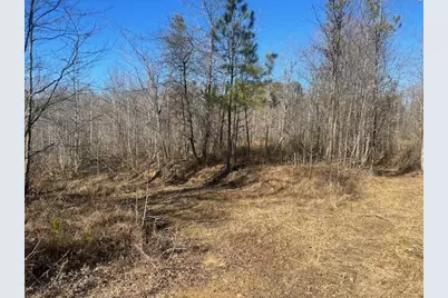 3011 Mark Foster, Talking Rock, GA 30175 - Photo 11