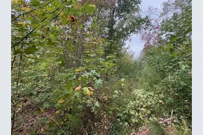 3011 Mark Foster, Talking Rock, GA 30175 - Photo 13