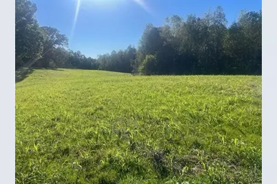 3011 Mark Foster, Talking Rock, GA 30175 - Photo 9