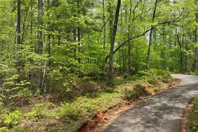 0 Lawrence Road, Dawsonville, GA 30534 - Photo 3