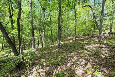 0 Lawrence Road, Dawsonville, GA 30534 - Photo 13