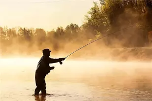 6051 Stallion Ridge, Douglasville, GA 30135 - Photo 55