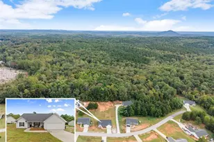 203 Russell Woods Dr, Mount Airy, GA 30563 - Photo 29