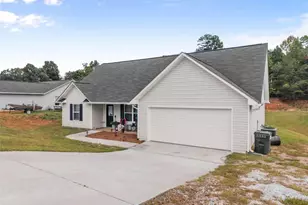 203 Russell Woods Dr, Mount Airy, GA 30563 - Photo 3