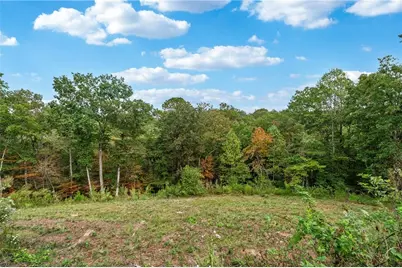 38 Mountain Ridge Road NE, White, GA 30184 - Photo 75