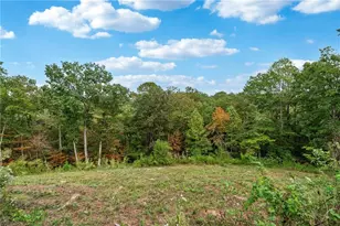 38 Mountain Ridge Rd NE, White, GA 30184 - Photo 75