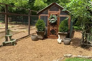 3349 Whitepath Rd, Ellijay, GA 30540 - Photo 79