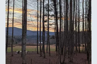 3349 Whitepath Road, Ellijay, GA 30540 - Photo 75